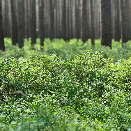 Haus Lena Leopoldshagen