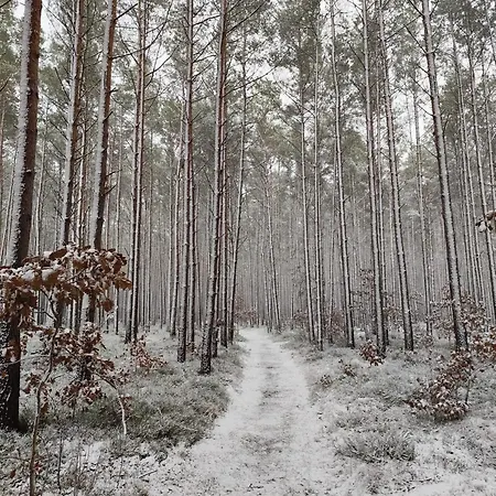 Haus Lena Apartament Leopoldshagen